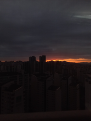 일상 속 지나치기 아쉬운 순간