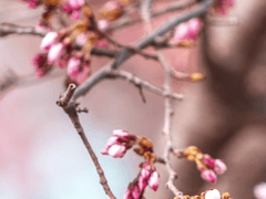 🐱 나만의 귀여운 고양이같은 메구리네 루카 천사님 모심글