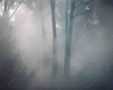 2. 안개를 뒤집어 쓰다