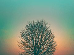 전생의 나를 상상해보기