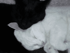 글 전부 무료로 전환하겠습니다.