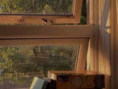 친구의 정의라는 건 뭘까.