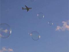 테라리움 밖 아브락사스에게