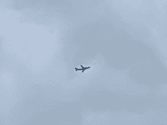 테라리움 밖 아브락사스에게