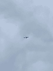 테라리움 밖 아브락사스에게