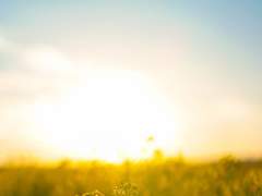 이제는 돌아가야지.