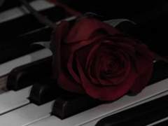 Alissa B. Christina🪞XX 7th Slytherin Pure Blood