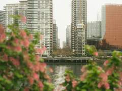 사랑은 한낱 환상일 뿐이다.