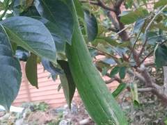 공시생 남편의 몹쓸 예