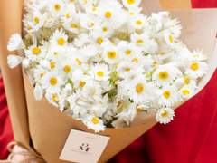 💐[이곤조영] 花魔