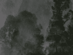 조금 탐나는 물건을 가지고 계시네요?