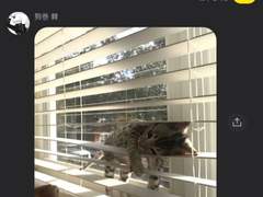 다 티나는 비밀 연애하는 유타에 메구미를 곁들인...