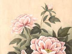 교태전에 피어난 모란 한송이