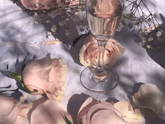 작은 변화로 큰 차이를 만드는 시술들