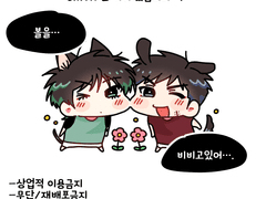 탱댐 코롯토 도안…