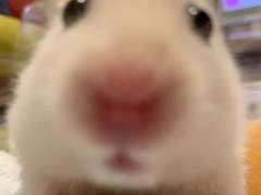 [화산귀환] (240118~닫힘) 커미션 공지