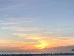 [다비호크] 뉴스속 용의자의 사진