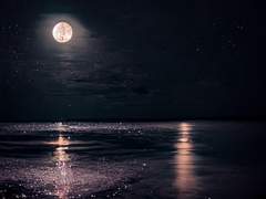 바보같아, 우리 둘다.