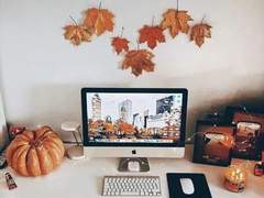 설레는 일, 가을이라고 있겠습니까?