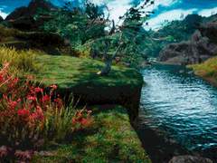 일단 00이 편해야 주식을 잘 할 수 있다