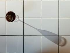 [석순]호랑이 장가가는 날