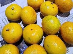 [백린천희] 시절인연(時節因緣) - 인과(因果)