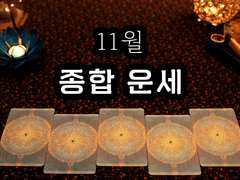 [타로] 11월 종합 운세