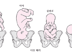 로판) 중세 영국의 산부인과 의사, 그리고 세계에 대한 질문들