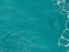 [우성태섭] 춘하추동 - 夏