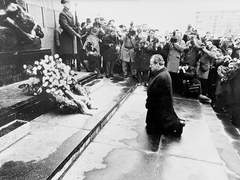 특별함은 미친 짓이다