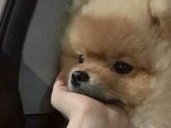 구남친 고르기 TALK