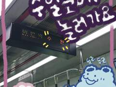 수일코에 놀러가요~