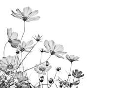 기억 대신 마음으로