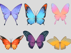 3D 나비 일러스트 브러쉬