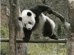 어디서부터 어떻게 올려야하나