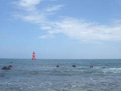 여행 사진 채널을 오픈하다