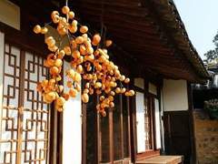 경화수월 鏡花水月