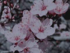 [당청] 살아갈 의미 (2)