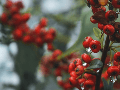 세상에 영원한 건 없어.