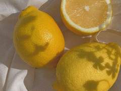 #12. 레몬 맛 여름