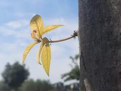 찬밥신세될까 봐 늙는 남편