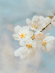 화산귀환 단편 모음.zip