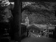 여행을 결정하다