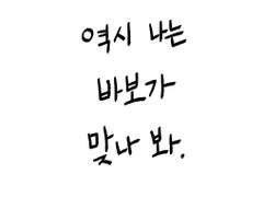 역시 나는 바보가 맞나 봐