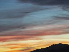 [사이에시] 네가 죽는 꿈