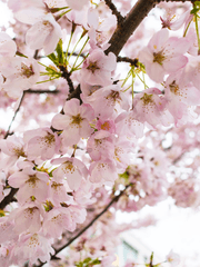 화산귀환 긴 글들