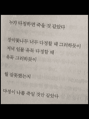 블랙 배저