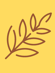 Luster Daniel Ipheion