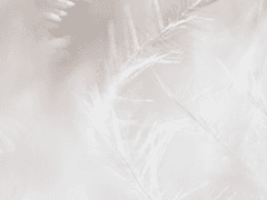 [변신술] 깃펜을 바늘로 바꾸기