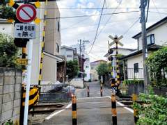 [호열백호] 썰 백업 4